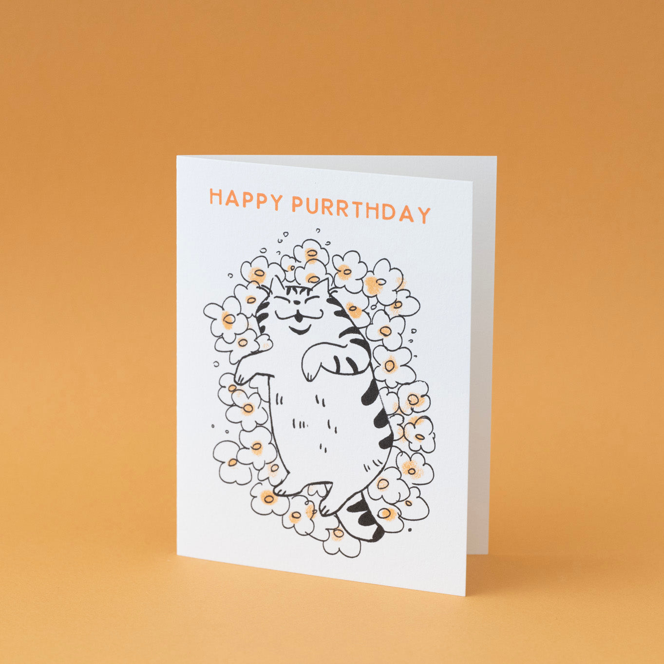 Happy Purrthday Birthday Card